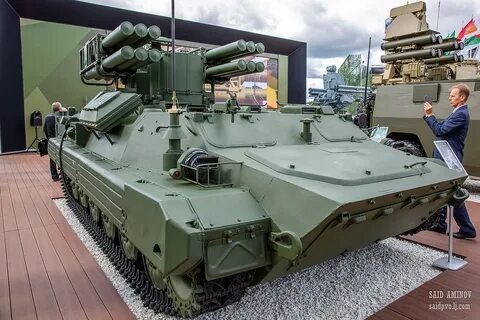 Комплекс сосна