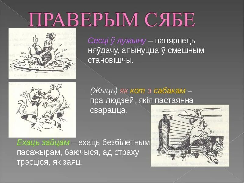 Что значит сяб