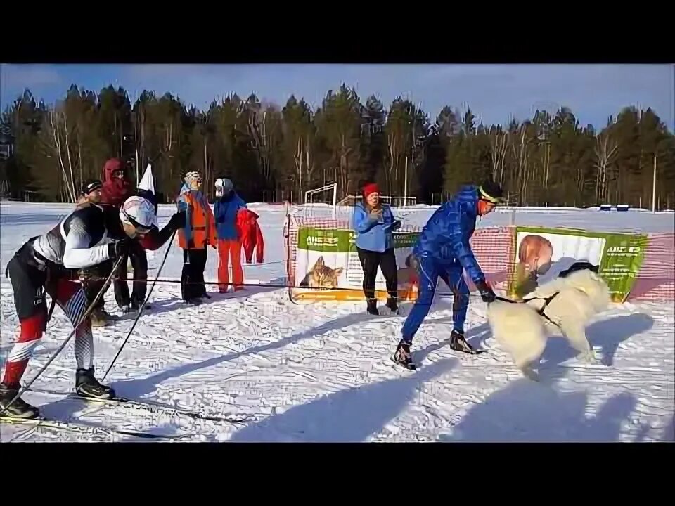 Спринт 2015. Спринт 2015