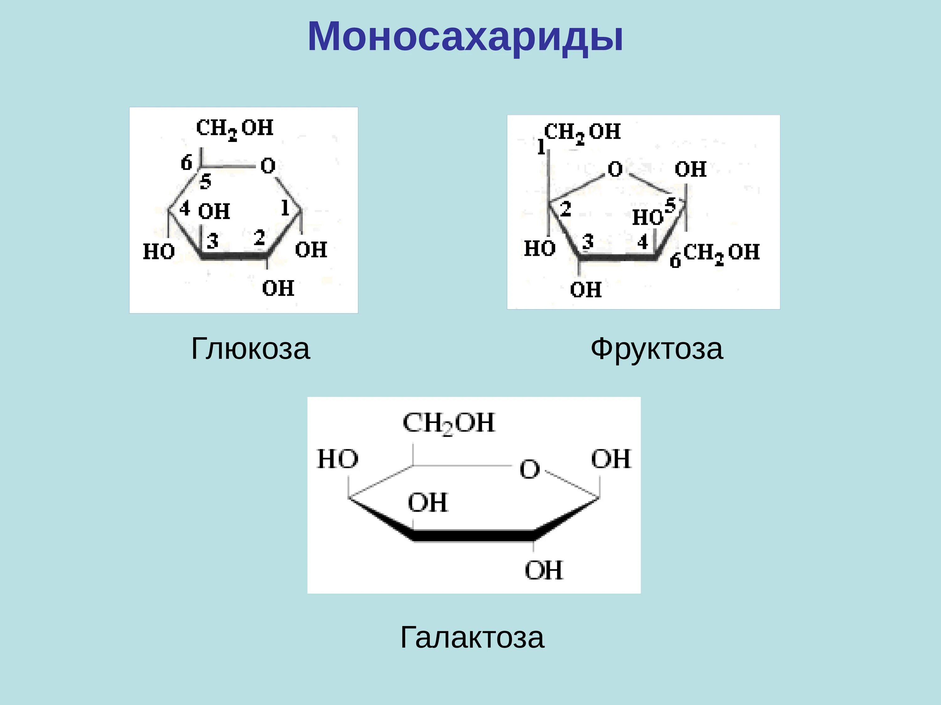 Галактоза моносахарид. Глюкоза фруктоза галактоза формулы. Глюкоза фруктоза галактоза. Моносахариды Глюкоза фруктоза галактоза. Глюкоза сахароза фруктоза рибоза крахмал