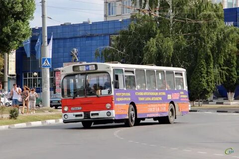 Белгород август 2024
