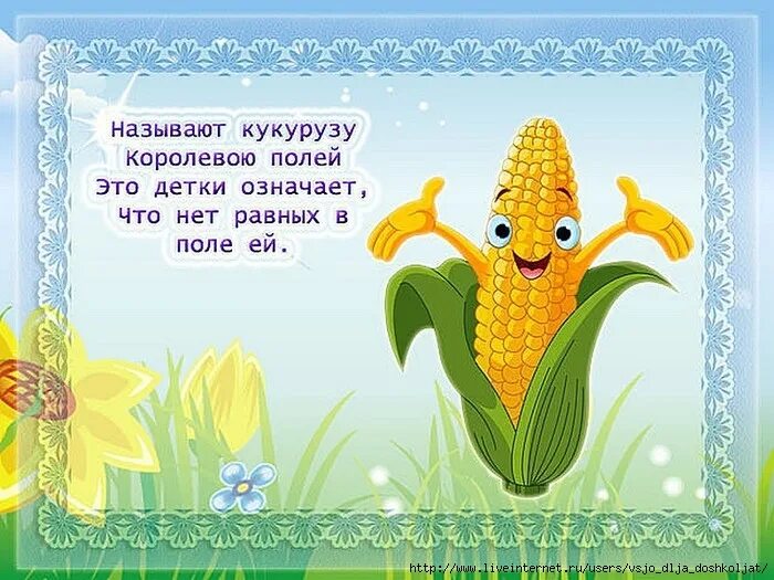 Кукуруза загадка. Стихотворение про кукурузу. Кукуруза загадка. Кукуруза загадка. Сообщение о кукурузе.