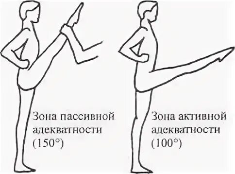 Методика применения пассивных упражнений. Основы лечебной физкультуры. Активно пассивных упражнений. Активно пассивных упражнений. Методика применения пассивных упражнений.