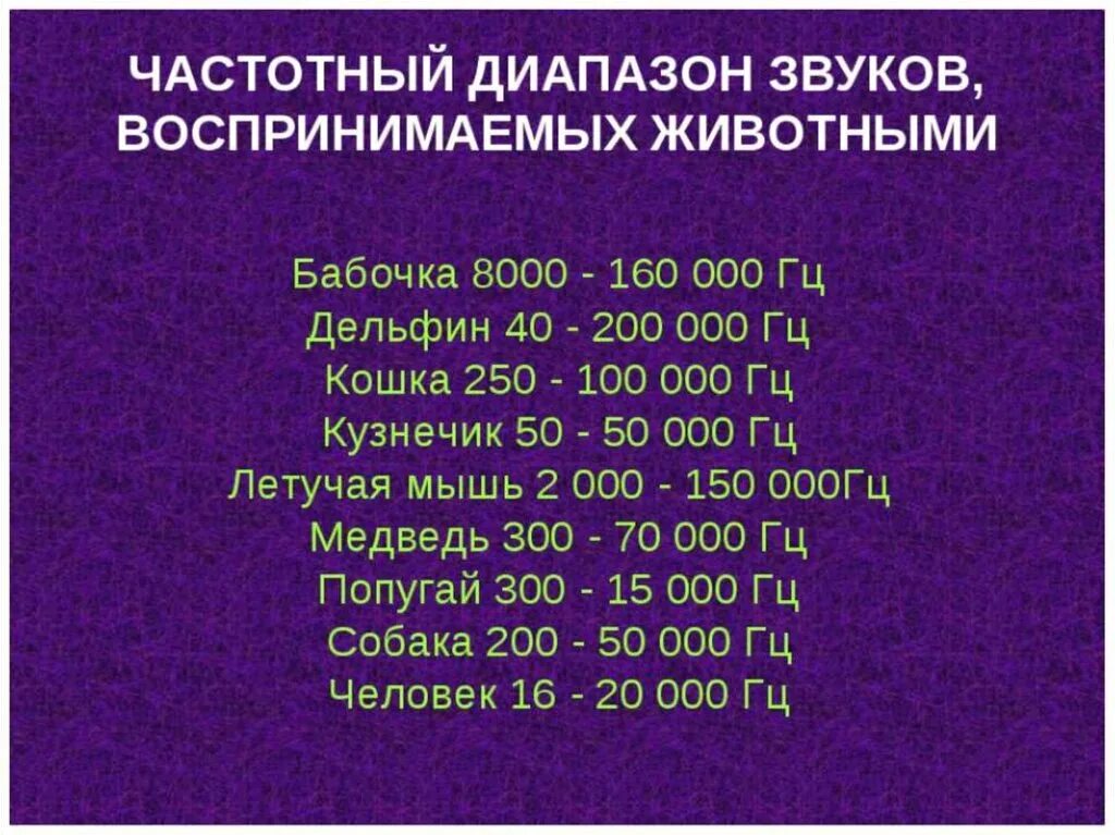 Какой диапазон у человека. Частотный диапазон. Частотный диапазон звука. Диапазоны звуковых частот таблица. Высокочастотный диапазон.