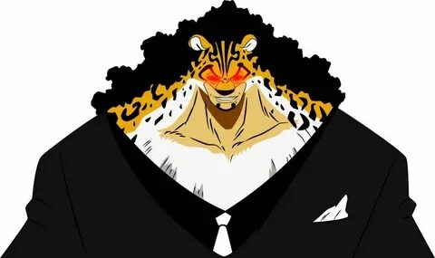 Lucci one piece