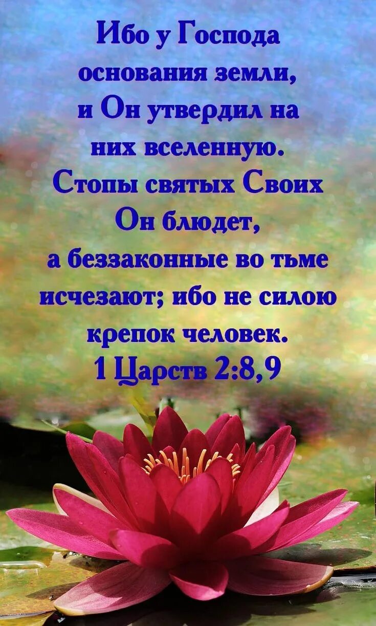 Благословения из библии. Христианские пожелания на день рождения из библии. Красивые пейзажи с цитатами. Христианские пожелания на день из библии. Благословения из библии.