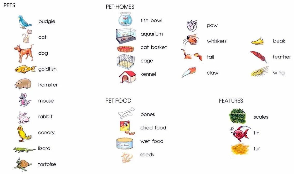 Английские слова рыба. Питомцы на английском языке. Английские слова на тему Pets. Лексика животные англ. Тема животных на английском.