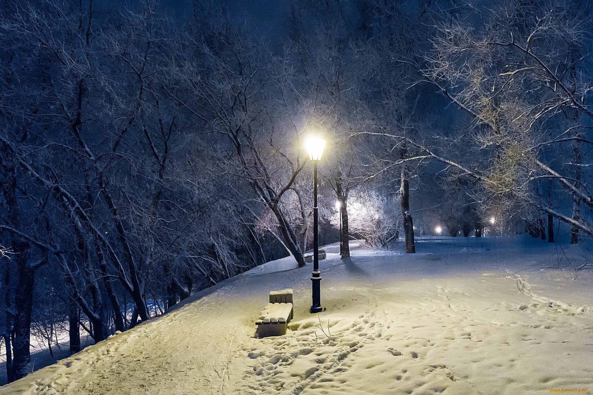 Картинка снег ночью. Зимний парк. Зимний парк ночью. Зима. К вечеру. Заснеженный парк вечером.