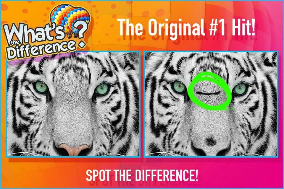 What s the difference dr. What&#039;s the difference.