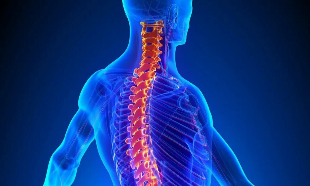 дорсопатия позвоночника остеохондроз. неврология шейного отдела. остеохондроз. остеохондроз спины. спондилёз шейного отдела позвоночника что это такое.