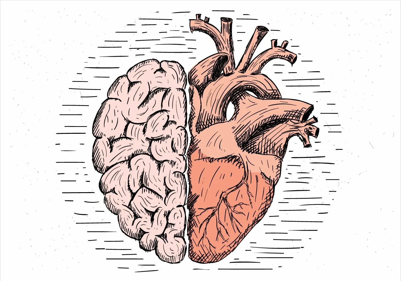 Heart and brain. Ум и сердце. Мозг или сердце. Мозг против сердца.