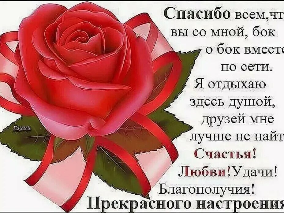 Друзья спасибо что вы есть. Спасибо что вы есть у меня. спасибо моим друзьям. спасибо друзья что вы есть у меня. спасибо друг.