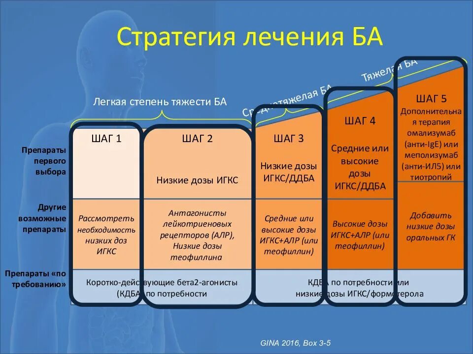 Как называется ба