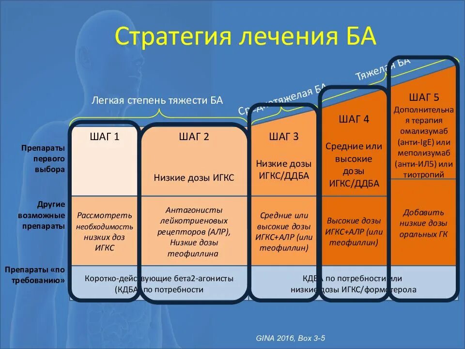 Схема ба. Принципы ступенчатой терапии бронхиальной астмы. Ступени терапии бронхиальной астмы 2021. 1 Ступень базисной терапии бронхиальной астмы. Схема терапии бронхиальной астмы.