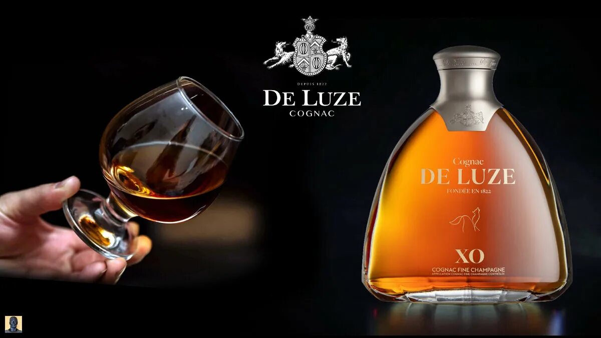 Коньяк de Luze VSOP. Коньяк дорогой XO. Самый дорогой французский коньяк. Коньяк de Luze Хо. Champagne xo cognac