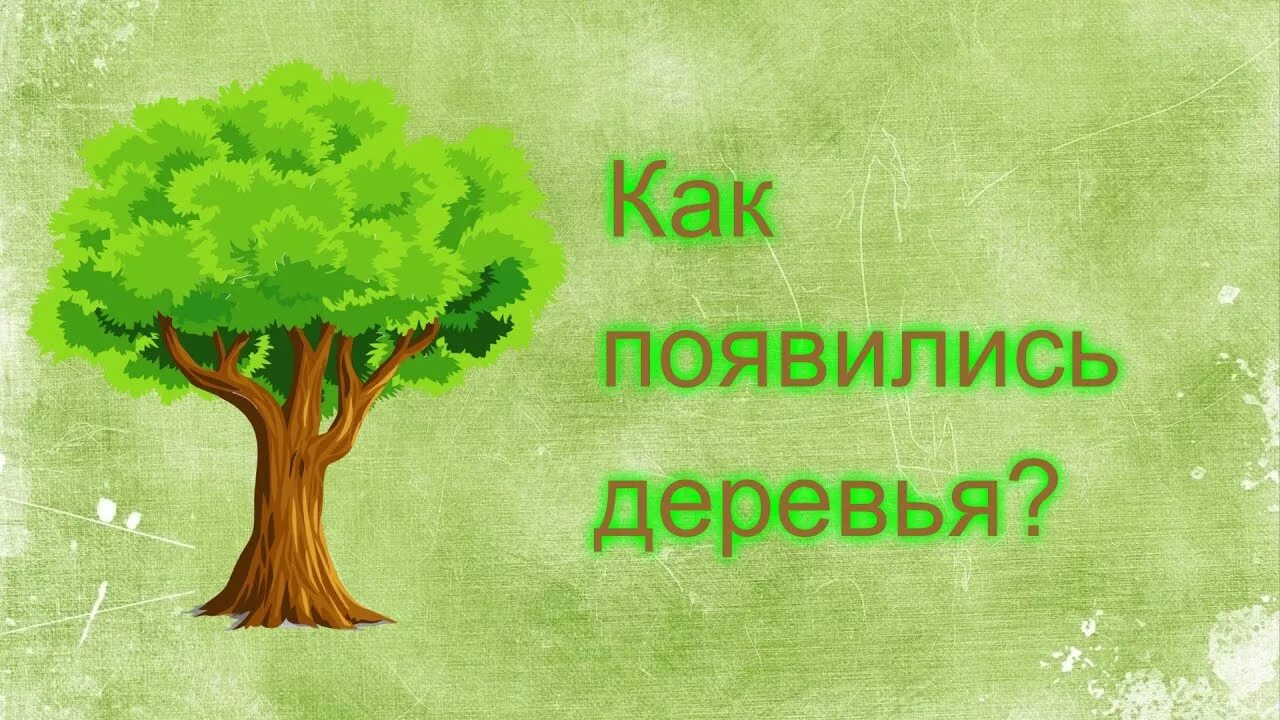 Какое было 1 дерево