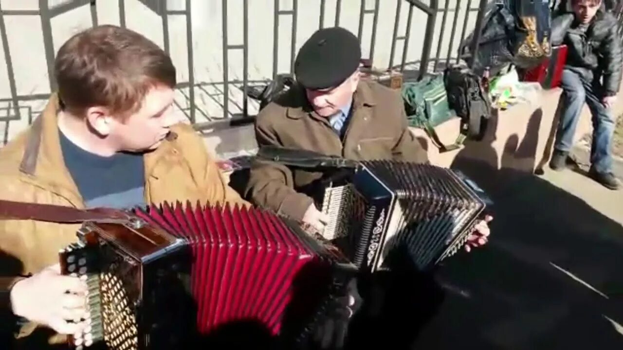 Гармонист ланин. Гармонист ланин матаня.
