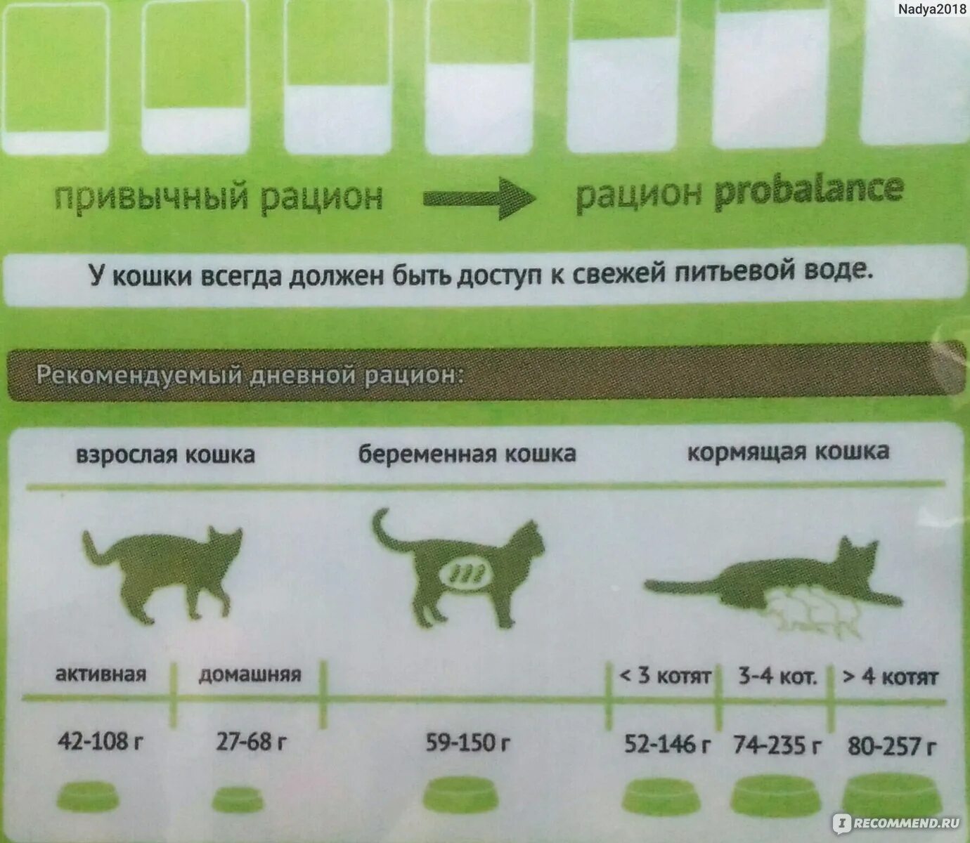 Сколько кормить взрослую кошку. Норма сухого корма для кошек. Норма корма для кошки в день. Нормы кормления кошек. Суточный рацион сухого корма для кошек.