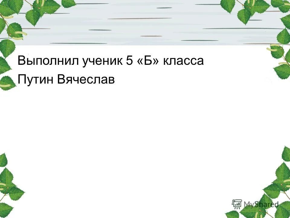 Береза символ россии презентация