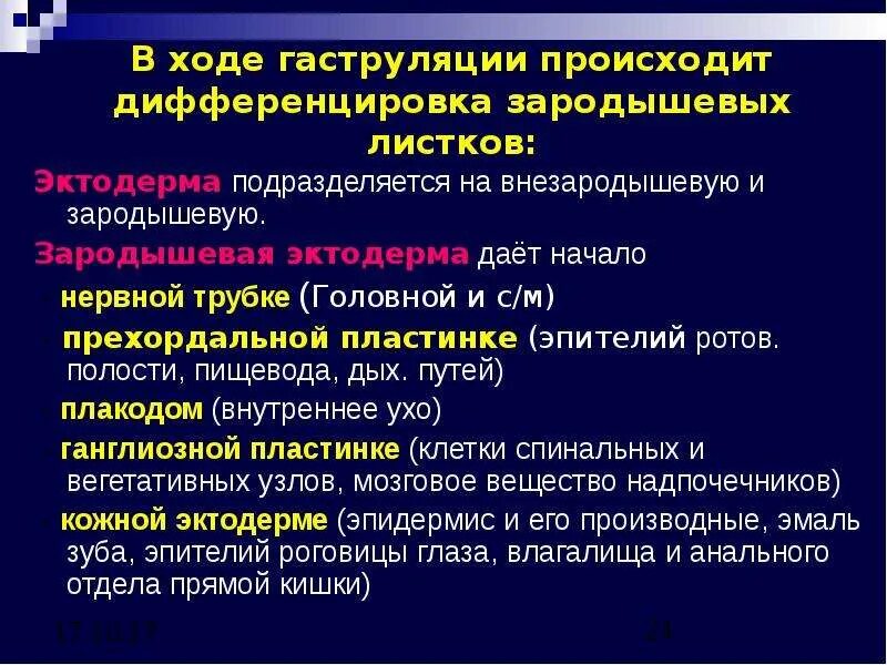 Дифференцировка эктодермы. Зародышевые листки и их дифференцировка. основные направления дифференцировки зародышевых листков. дифференцировка зародышевых листков таблица эктодерма.