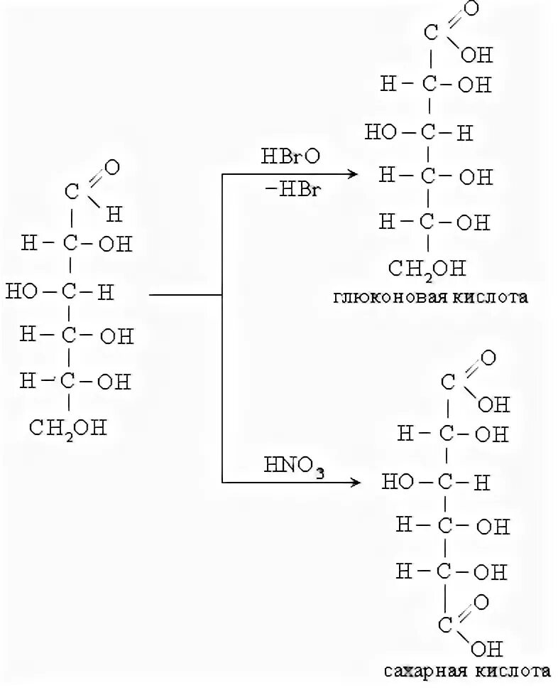 Сахарная кислота. Глюконовая кислота формула. Глюконовая кислота=сахарная кислота. Сахарная кислота получение. Глюкоза глюконовая кислота реакция