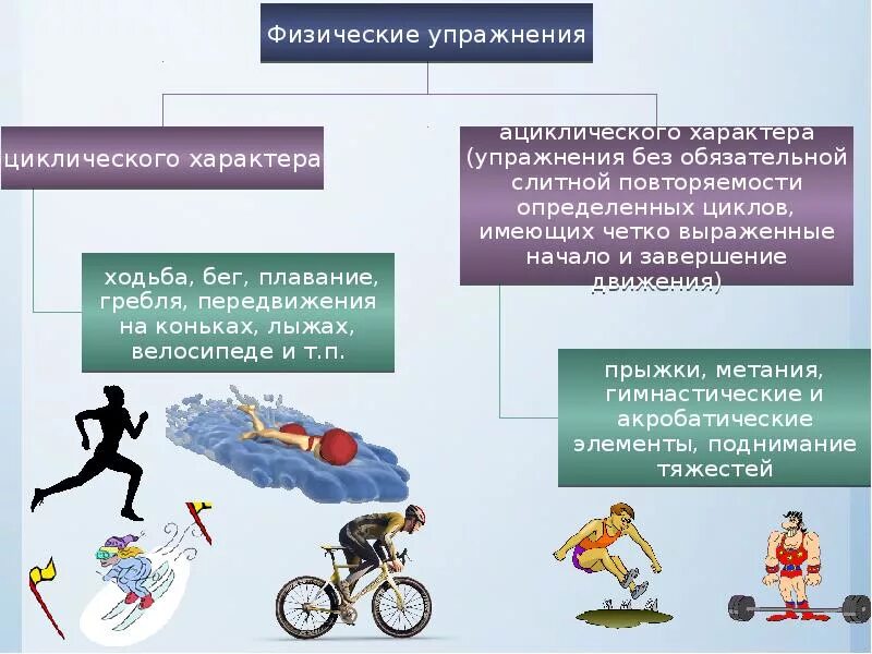 Способность любого организма. Средства физической культуры. Физическая культура и умственная работоспособность. Способы повышения физической работоспособности. Устойчивость к умственной и физической работоспособности.