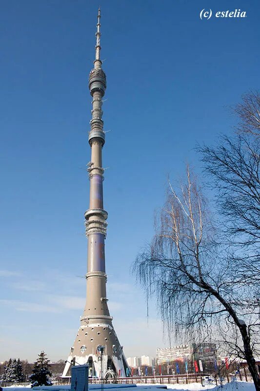 День останкино. Останкинская башня Бионика. Останкинская телебашня Лилия. Останкинская башня и Лилия. Останкинская телебашня Перевернутая Лилия.