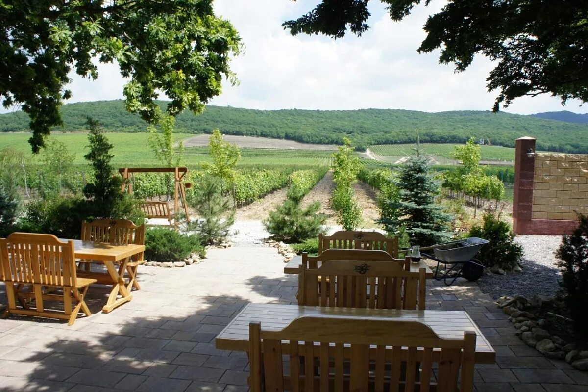 винотеррия семигорье. ресторан винотерия новороссийск. винотерия ресторан анапа. ресторан винотерия новороссийск. винотеррия а 290 24 й километр 4.