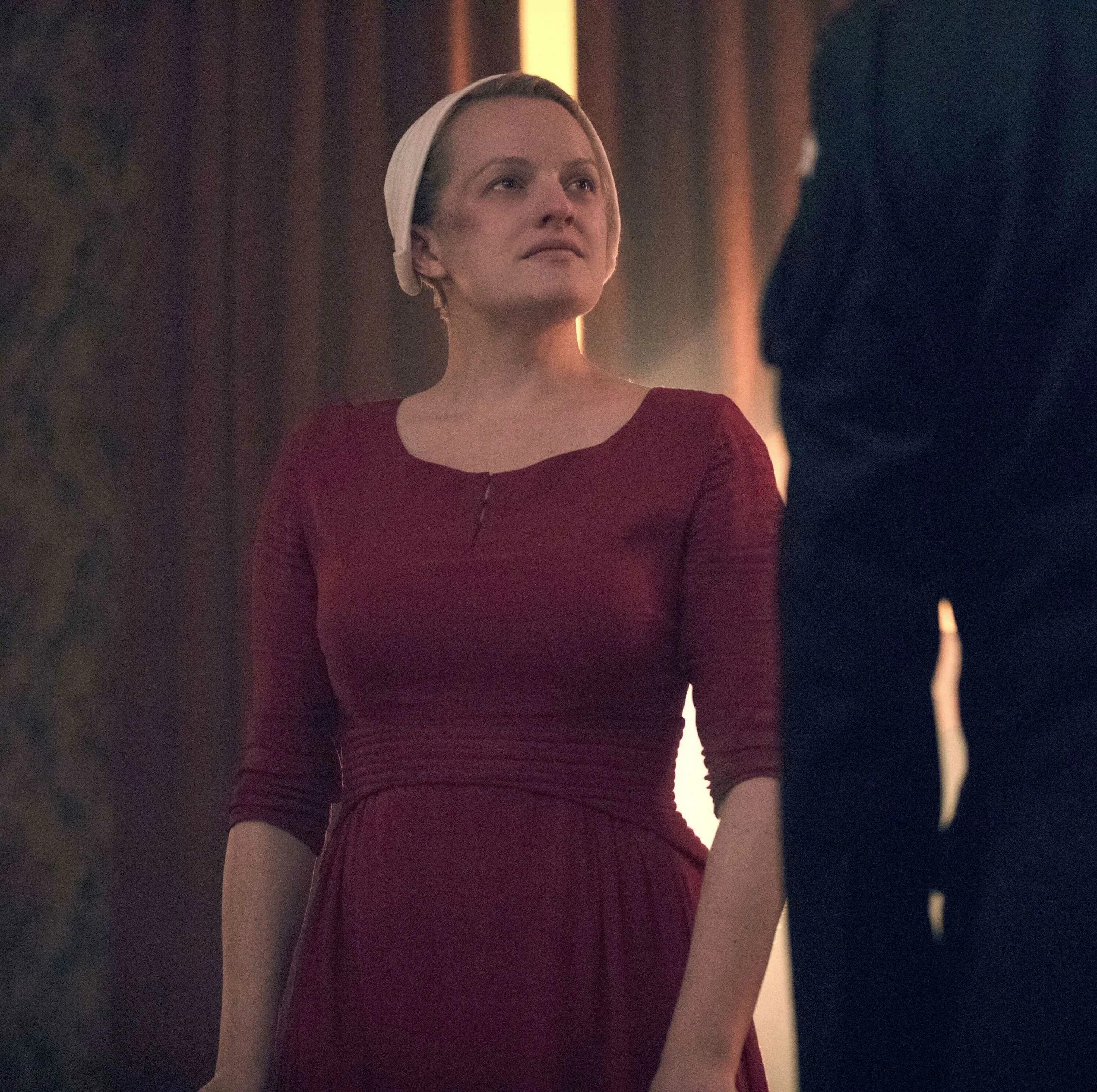 Исповедь служанки. Рассказ служанки / the Handmaid's Tale. Handmaid s tale