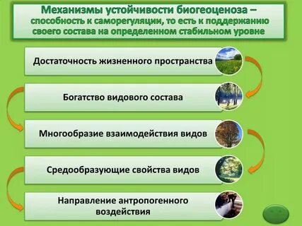 Способность биологических систем