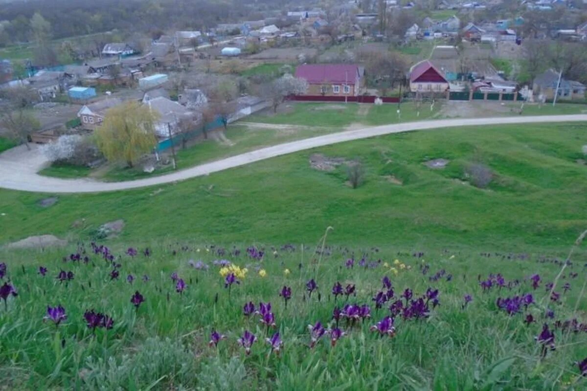 Вб села. Село Раздольное Моздокский район. Северная Осетия Моздокский район село Раздольное. Предгорное село Осетия. РСО-Алания село Предгорное.