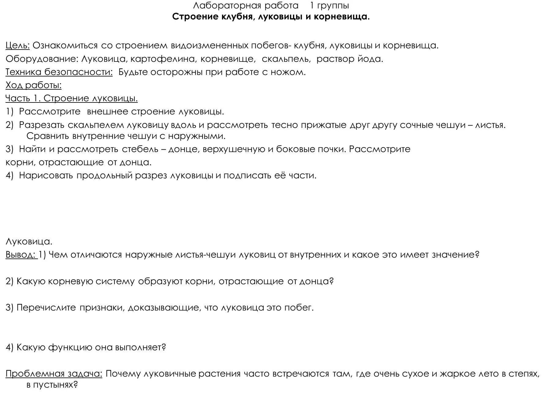 Лабораторная работа внешнее строение клубня и луковицы. Лабораторная работа строение клубня и луковицы. лабораторная работа строение луковицы клубня корневища. лабораторная работа строение луковицы. лабораторная работа корневище.