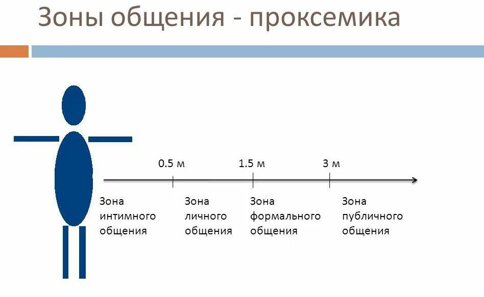 Нормальная социальная дистанция при общении в сестринской. Проксемика дистанции в общении. Зоны общения проксемика. Проксемика 4 зоны. Проксемика в невербальной коммуникации.