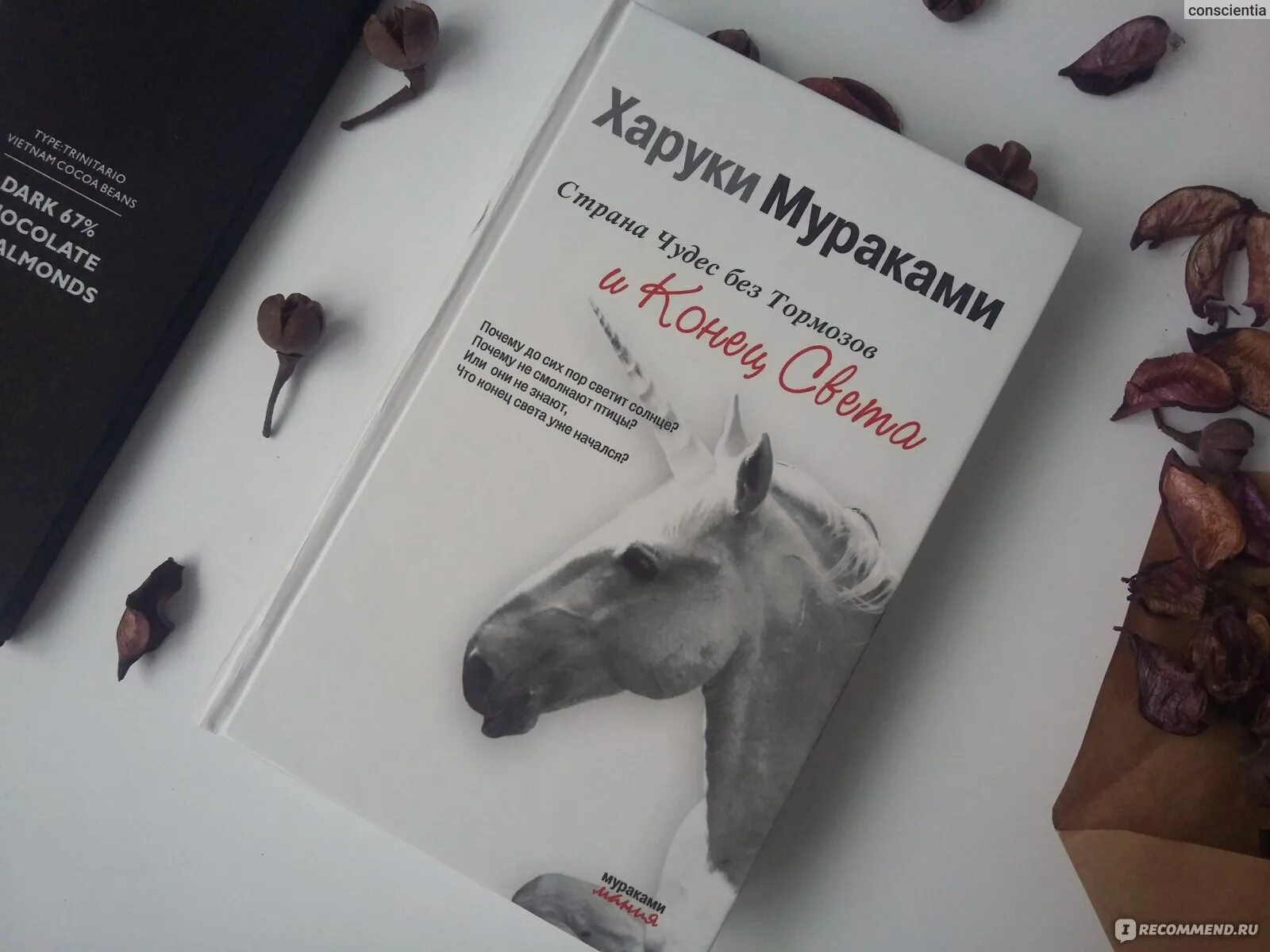 Мураками книга страна чудес без тормозов. Харуки мураками конец света или страна чудес без тормозов. страна чудес без тормозов и конец света харуки мураками книга. страна света харуки мураками. харуки мураками единорог.