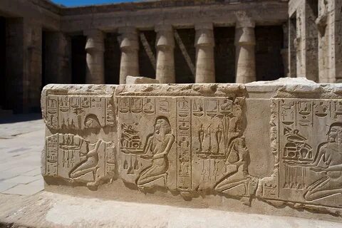 Корень египетский