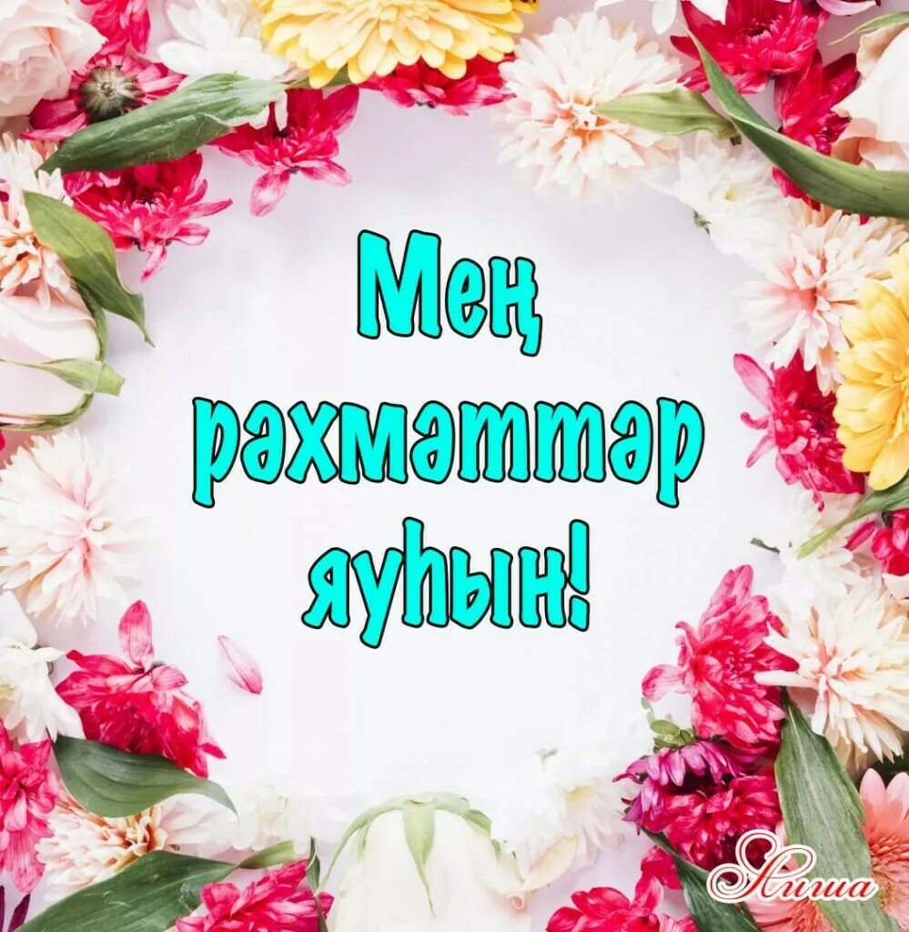 Спасибо на башкирском. Открытки на татарском языке рәхмәт. зур рәхмәт картинки красивые необычные. стикеры рәхмәт для ватсапа. рәхмәт картинки на башкирском.