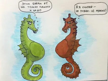 Не мой конек