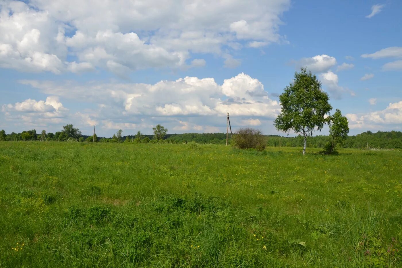 деревня чебуши. воронино калужская область. деревня кременево калужская область. храм в ульяново калужской области. погода в д калужская.