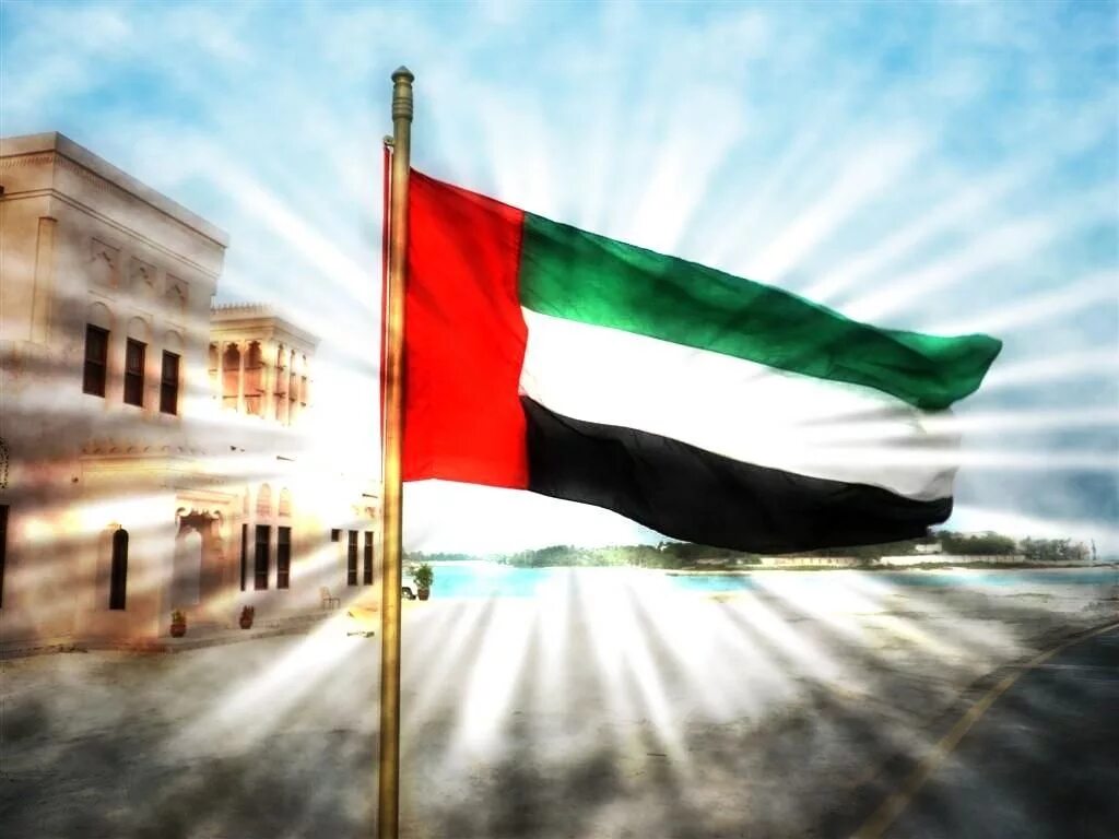 Как выглядит арабский флаг. Флаг арабских эмиратов. флаг эмиратов дубай. united arab emirates флаг. oae флаг.