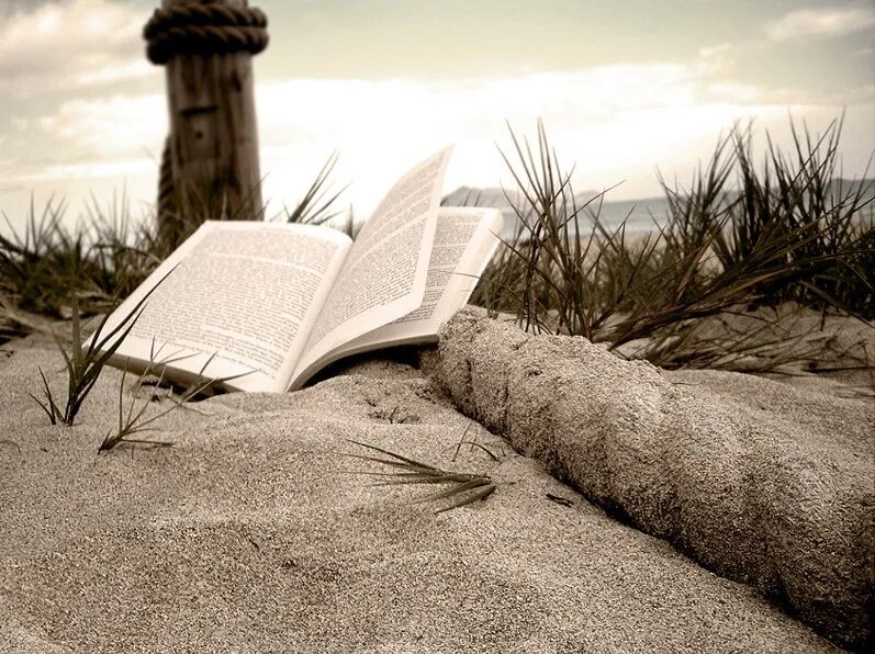 Почитать книгу про жизнь