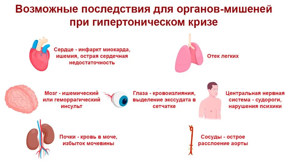 Органы мишени при артериальной гипертонии. Симптомы поражения органов мишеней при артериальной гипертензии. Органы мишени при гипертонической гипертонией. Поражение органов мишеней при гипертонической болезни. Артериальное давление осложнения