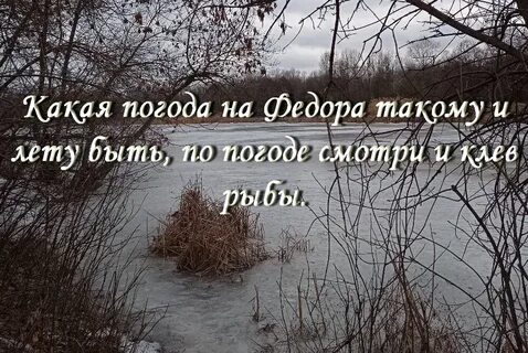 День федоров