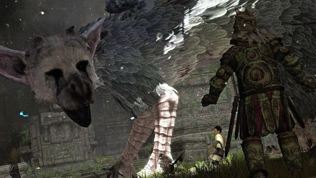 The last Guardian. Трико последний хранитель. Трико игра the last Guardian.