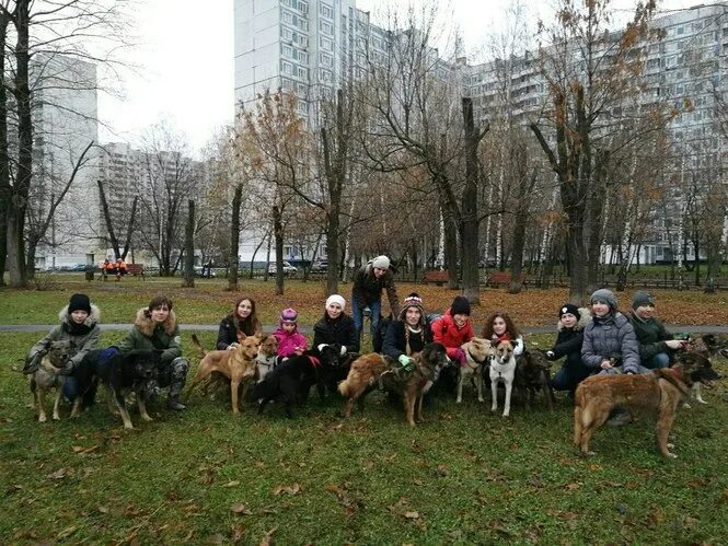 Балашиха Профсоюзная, 2 приют для животных. Кожуховский приют секция в Москве.