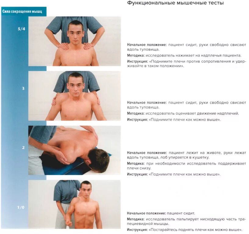 повышение тонуса мышц. красивые накаченные руки у девушек. культурист. тонус мышц плеча. тело пожилой женщины.