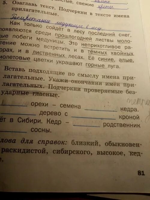 Шимпанзе подходящие по смыслу прилагательные. Вставьте подходящие по смыслу имена прилагательные. Вставь подходящие по смыслу прилагательные. Подбери подходящее по смыслу имя прилагательное. Вставь подходящие по смыслу имена прилагательные.