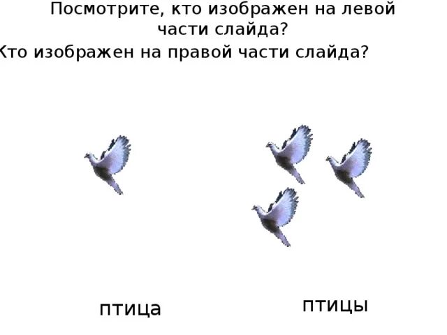 Изменение глаголов по числам 3 класс презентация. Птица глагол. Задание понимание глагола птицы. Птица из глаголов. Картинки птицы глаголы.