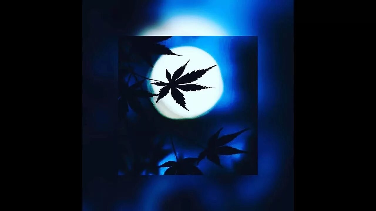 Kambulat мой кайф. Мой кайф мой сон. Kambulat глаза. Пленила ты меня стихи. Мой кайф мой сон полет и унисон.