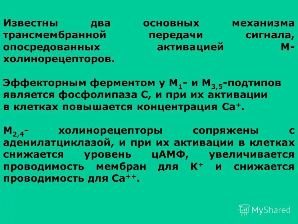 Механизм сопряжения м холинорецепторов. М2 холинорецепторы механизм. М2 холинорецепторы механизм сопряжения. Механизм трансмембранной передачи сигнала ацетилхолина. Сигнала фермент