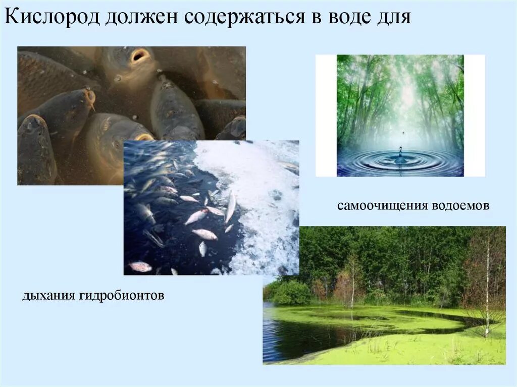 Природный водный орган